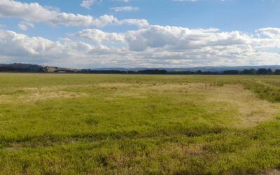 Comunicado público del Lov We Futxa Rincón de Lumaco ante los operativos policiales de PDI y ejército ocurridos el 24 y 25 de noviembre de 2025