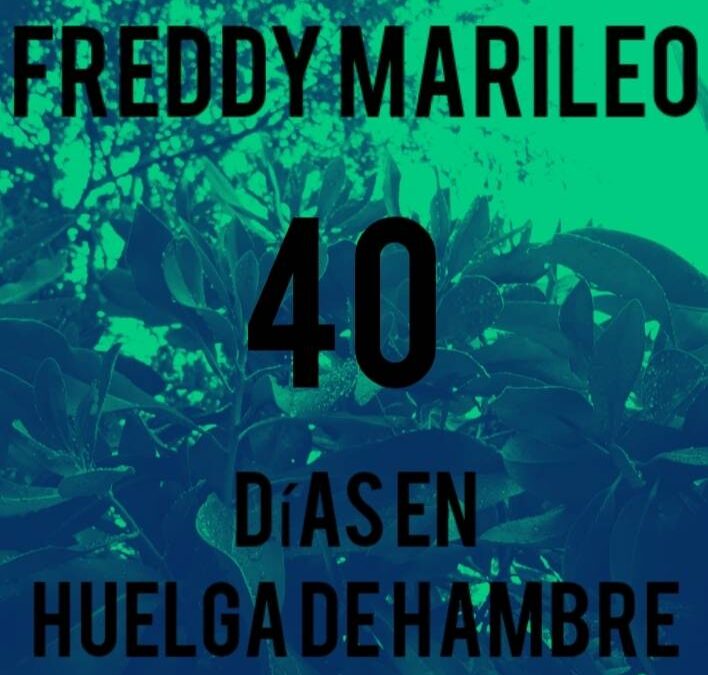 Comunero Mapuche Freddy Marileo cumple 40 días en huelga de hambre en CCP de Temuco