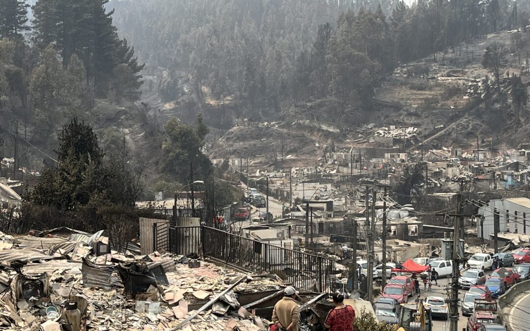 Comunicado de organizaciones autoconvocadas del Biobío: La vida, el agua y los territorios están siendo devastados