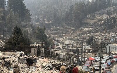 Comunicado de organizaciones autoconvocadas del Biobío: La vida, el agua y los territorios están siendo devastados
