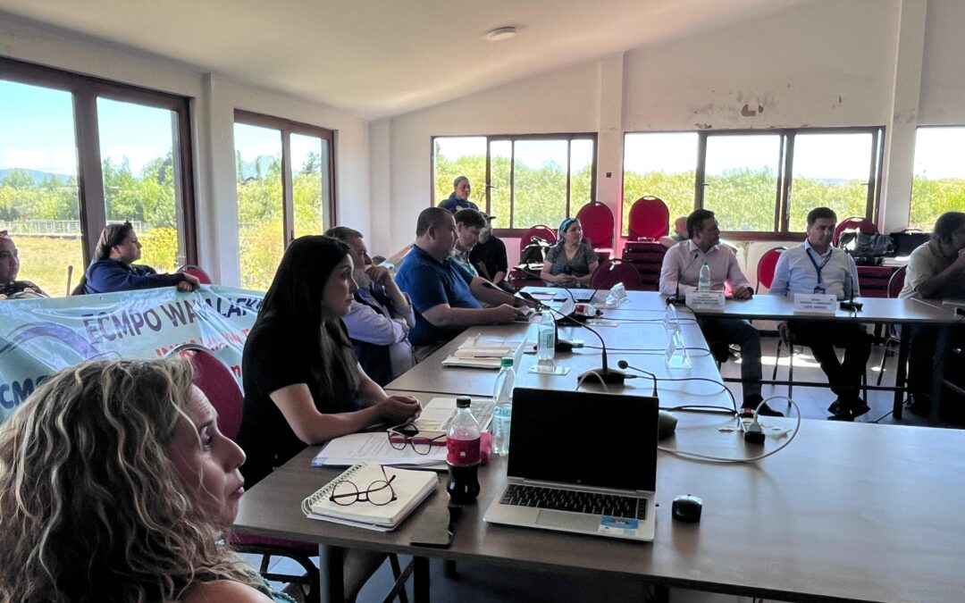 Comunicado público ECMPO Wadalafken: racismo e irregularidades en la CRUBC Los Ríos