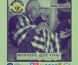 Küla episodio Podcast MONGEPE sobre el Tratado de Tantauco y despojo territorial mapuche williche de Chiloé