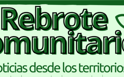 Nuevo programa: Rebrote Comunitario: «Noticias desde los territorios»