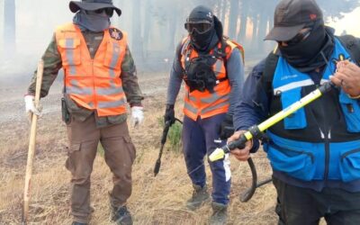 Brigada de Emergencia Weichan Kutral y otras brigadas autogestionadas de Ercilla, combaten los incendios forestales en territorio Mapuche