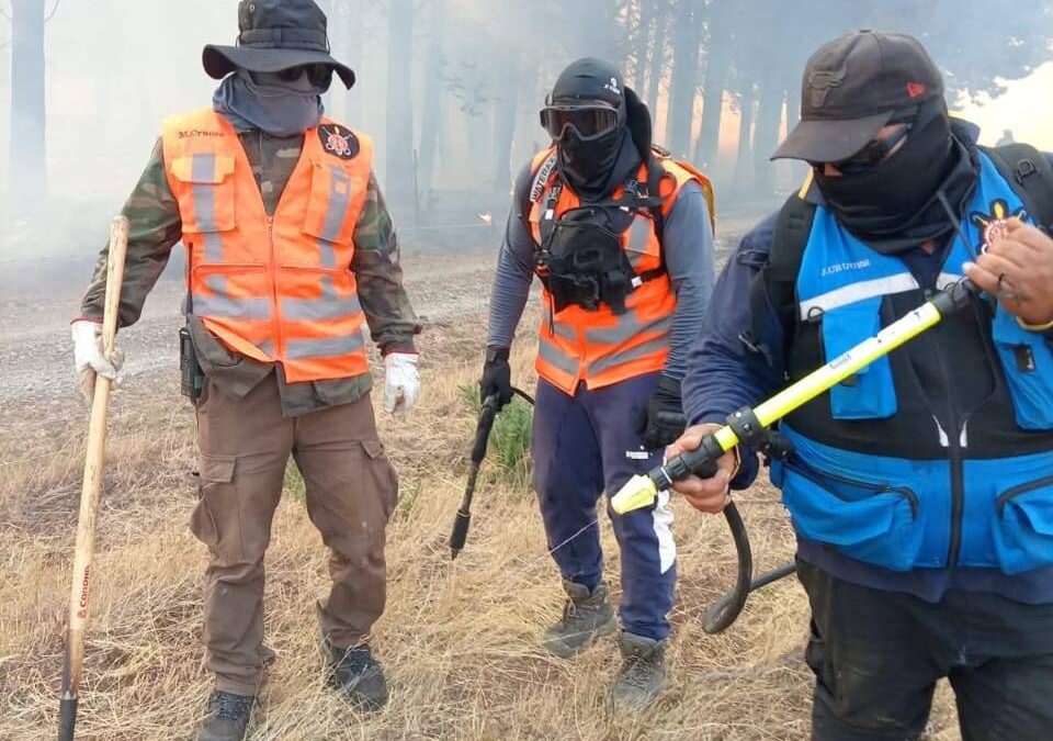 Brigada de Emergencia Weichan Kutral y otras brigadas autogestionadas de Ercilla, combaten los incendios forestales en territorio Mapuche