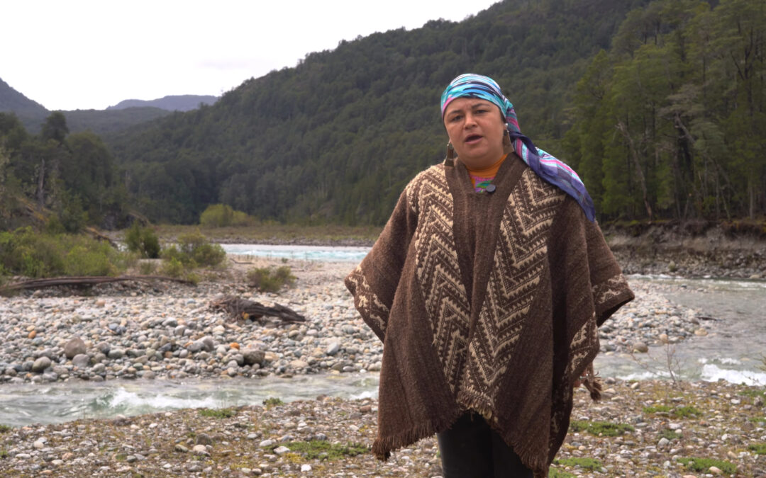 Video del Lof Cayun Panicheo ante los graves incendios que afectan el Puelmapu