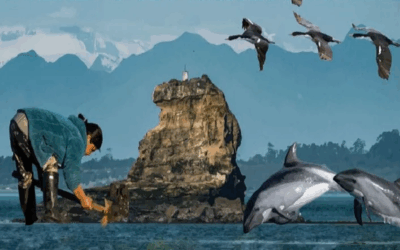 Comunidades originarias realizarán segunda versión del Festival Williche de las Algas y Espacios Costeros