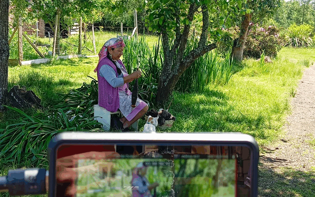 Witral y Kimün Mapuche: Universo en 6 Colores lanza microdocumentales para difundir el arte textil en Los Ríos