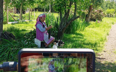 Witral y Kimün Mapuche: Universo en 6 Colores lanza microdocumentales para difundir el arte textil en Los Ríos