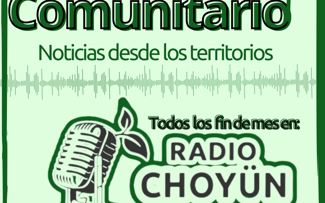 Rebrote Comunitario: «Noticias desde los territorios» Boletín n°2 – Enero 2026