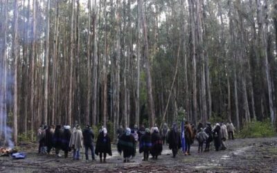 Comunidad Cacique Sebastián Loncochino: la lucha por la restitución del equilibrio