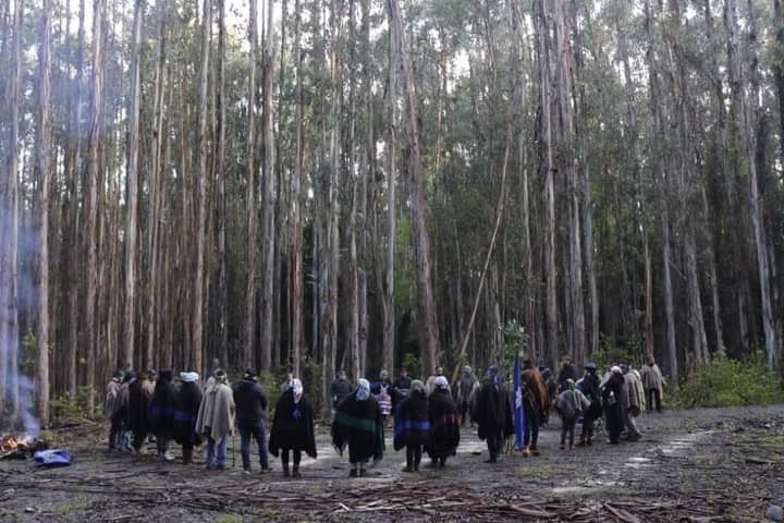 Comunidad Cacique Sebastián Loncochino: la lucha por la restitución del equilibrio