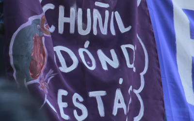 Registro y comunicado de intervención de la red de apoyo por la papay Julia Chuñil en la convocatoria 8M por el día Internacional de la mujer trabajadora en Temuco