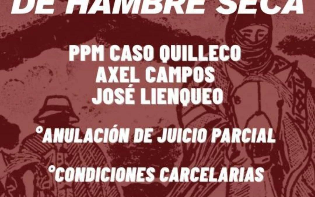 Dos de los presos políticos Mapuche del caso Quilleco inician huelga de hambre seca