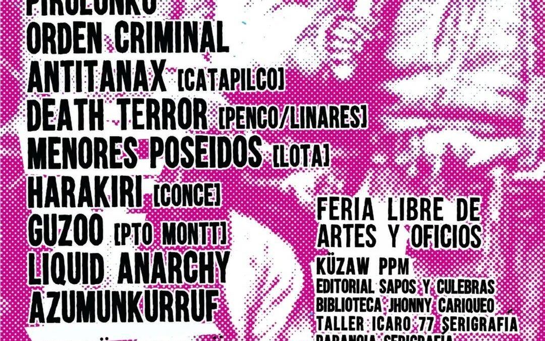 Segundo encuentro Punkhardcore, en solidaridad con los Presos políticos Mapuche, en Temuko