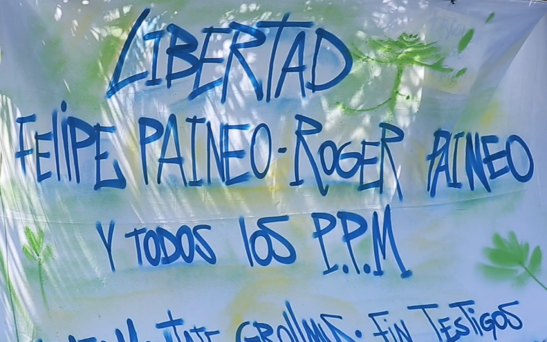 Video de difusión sobre el juicio por el Caso Grollmus en contra de 19 comuneros mapuche Lavkenche