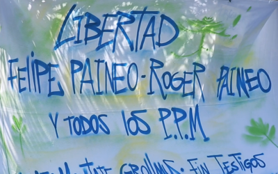 Video de difusión sobre el juicio por el Caso Grollmus en contra de 19 comuneros mapuche Lavkenche
