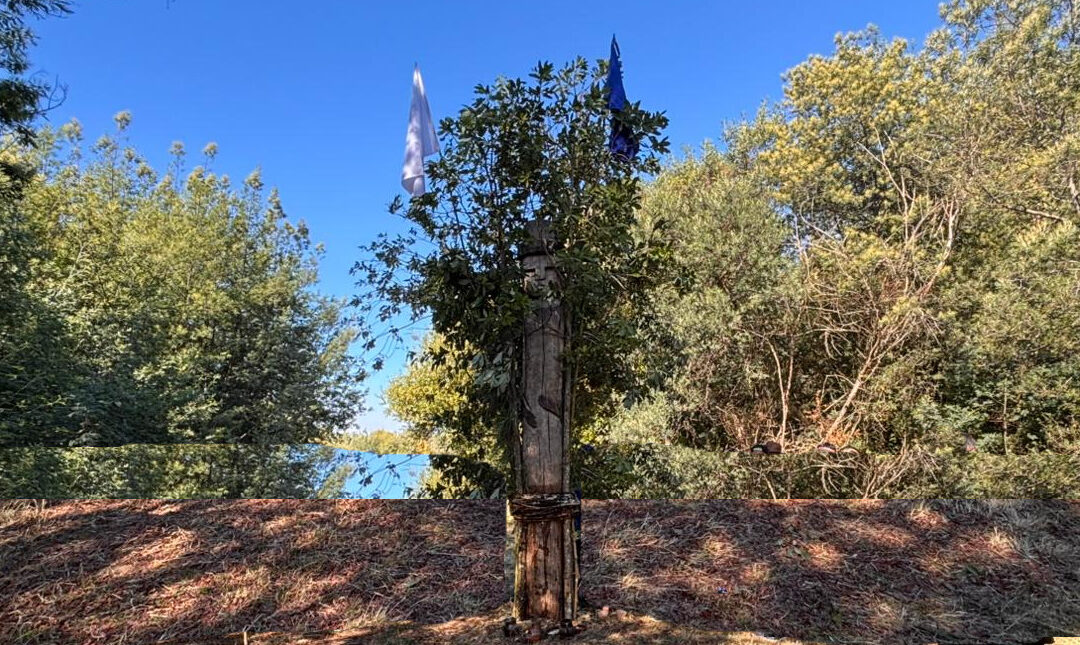 Lof Karülafken de Pitrufquén realiza trawün reafirmando su compromiso por la defensa del itrofill mogen