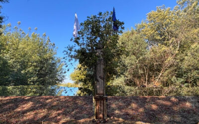 Lof Karülafken de Pitrufquén realiza trawün reafirmando su compromiso por la defensa del itrofill mogen