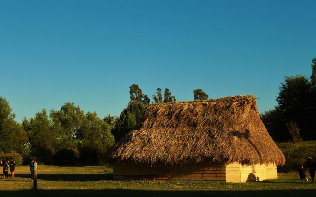 Agrupación de estudiantes Mapuche UCT Mew denuncian violencia racista dentro del campus norte de la universidad católica de Temuco