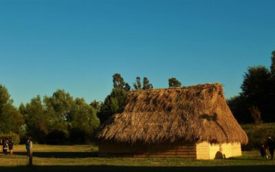 Agrupación de estudiantes Mapuche UCT Mew denuncian violencia racista dentro del campus norte de la universidad católica de Temuco