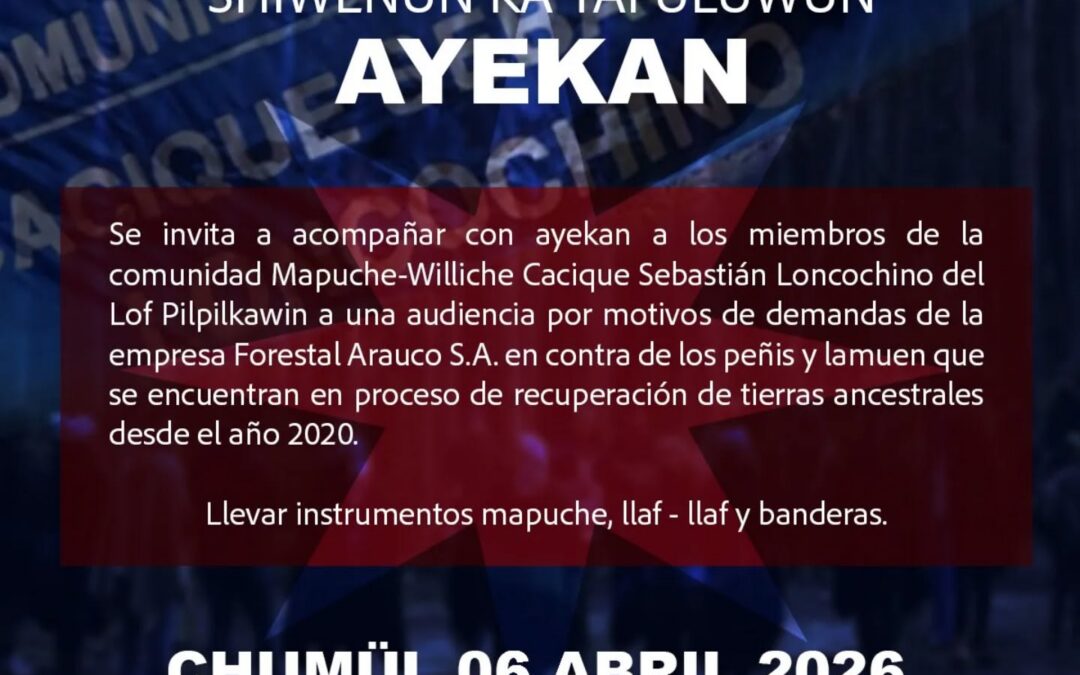 Mütxumün: shiweñün ka yafuluwün, comunidad mapuche williche Cacique Sebastián Loncochino del lof Pilpilkawin