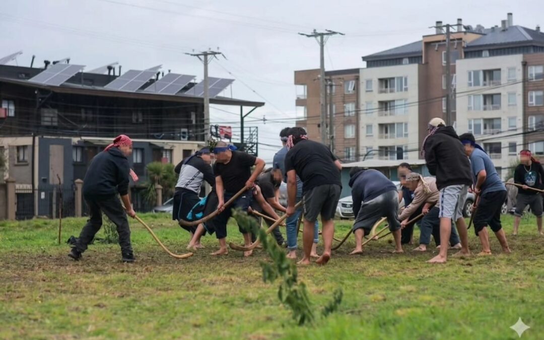 Comunidad Juan Currin de Temuco realiza Trawun Palin y se reivindica en resistencia dentro de la warria