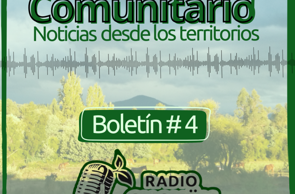 Programa n° 4: Rebrote Comunitario, Noticias desde los territorios, marzo 2026