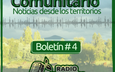 Programa n° 4: Rebrote Comunitario, Noticias desde los territorios, marzo 2026