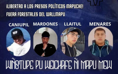 Comunicado PPM de la Coordinadora Arauco Malleco en Temuco, a días de iniciar juicio en su contra