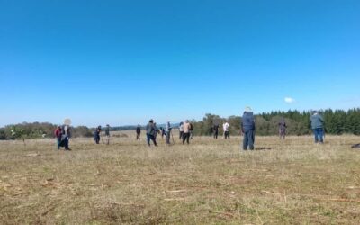 Lof en recuperación Pillumallin Autónomo de Nueva Imperial denuncia hostigamiento del GOPE y particulares