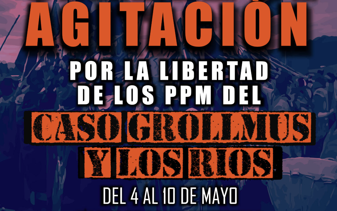 Video informativo sobre proceso judicial del Caso Grollmus