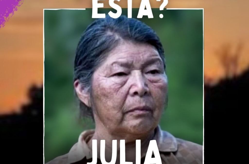 Comunicado de Coordinadora por Julia Chuñil, Ainil-Valdivia ante difusión de información falsa sobre muerte de testigo del caso