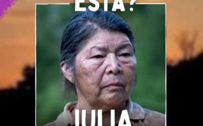 Comunicado de Coordinadora por Julia Chuñil, Ainil-Valdivia ante difusión de información falsa sobre muerte de testigo del caso