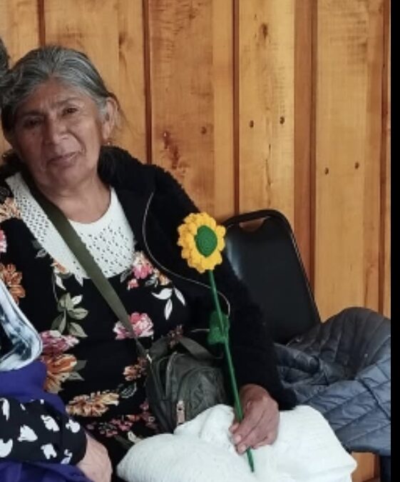 Denuncia pública: Negligencia médica y racismo institucional en el Cesfam de Ercilla