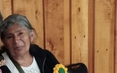 Denuncia pública: Negligencia médica y racismo institucional en el Cesfam de Ercilla