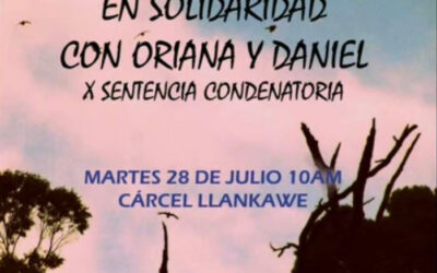 Tribunal de Valdivia condena a dos personas investigadas por participar en  protestas por el caso Julia Chuñil