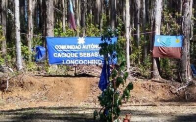 Juzgado de Garantía de La Unión niega solicitud de desalojo contra Lof Pilpilkawin