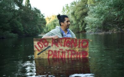 Miembros de la comunidad Antonio Panitrur quedan en libertad y denuncian persecución política por su lucha contra empresas forestales y latifundistas de la zona