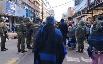Presentan querella por lesiones: hortalicera mapuche recibió golpes de puño en violento procedimiento municipal en Temuco