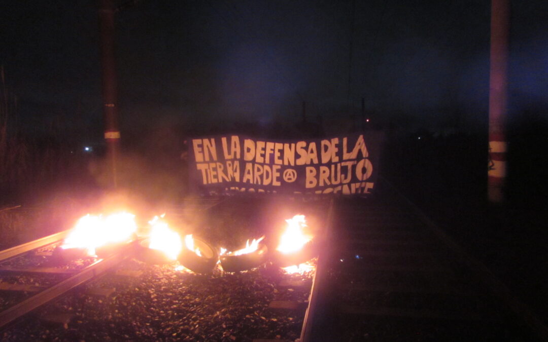 Manifestación en memoria de Santiago Maldonado en Puelmapu: «En la defensa de la tierra, arde tu memoria, Brujo presente»