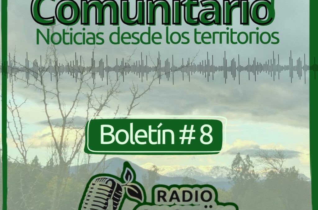 Programa n° 8: Rebrote Comunitario, Noticias desde los territorios, agosto 2026