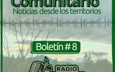 Programa n° 8: Rebrote Comunitario, Noticias desde los territorios, agosto 2026