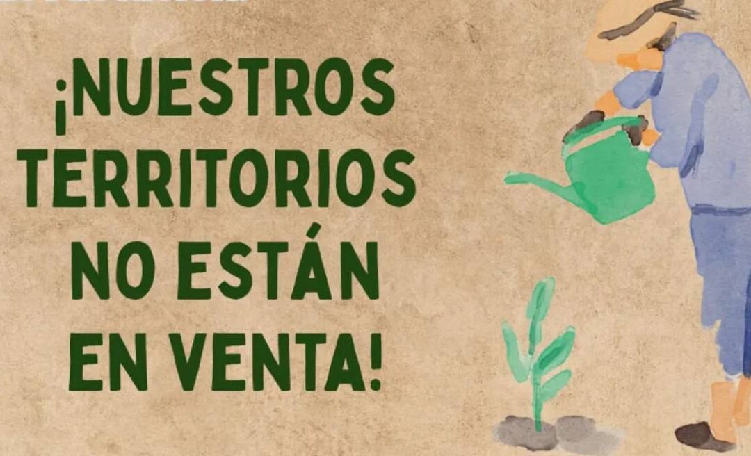 Comunicado de organizaciones territoriales en apoyo a Penco – Lirquén
