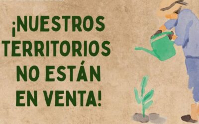 Comunicado de organizaciones territoriales en apoyo a Penco – Lirquén
