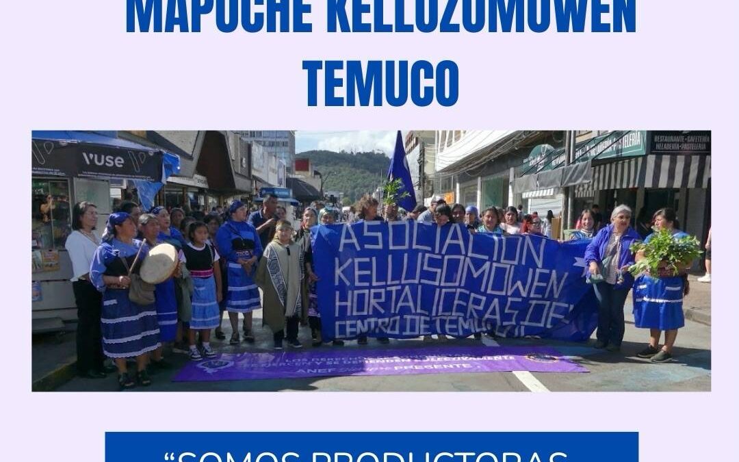 Agrupación de hortaliceras Mapuche Kelluzomowen de Temuco denuncia nuevamente agresiones por parte de guardias municipales
