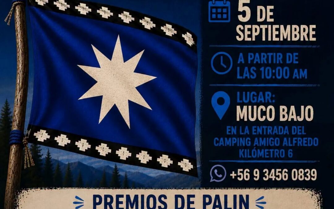 Kelluwün/solidaridad: torneo de palín en Lof Muco