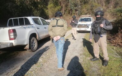 Comunidad Pallaco de Tirúa denuncia violento desalojo por parte de guardias privados de forestal Minico