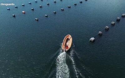 ECMPOs desde adentro: Microserie muestra cómo contribuyen a generar trabajo, economía local y protección sustentable del mar