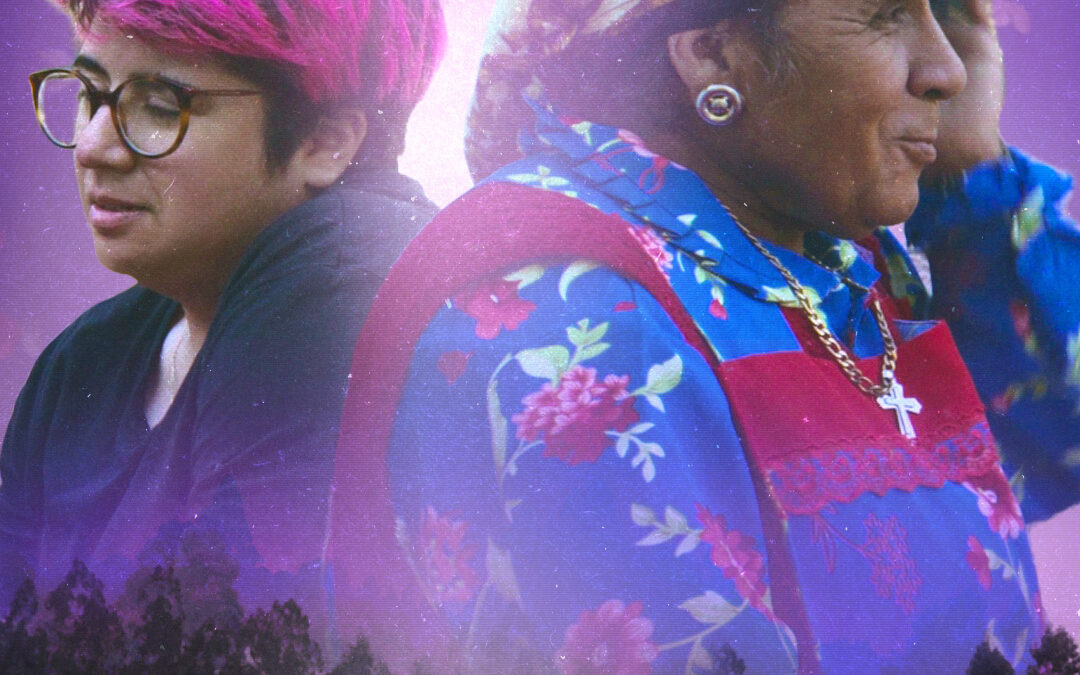 Documental: «La búsqueda del otro» se proyectará en cines de Arica a Punta Arenas
